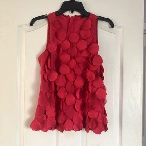 Ann Taylor Pink Ruffled Blouse